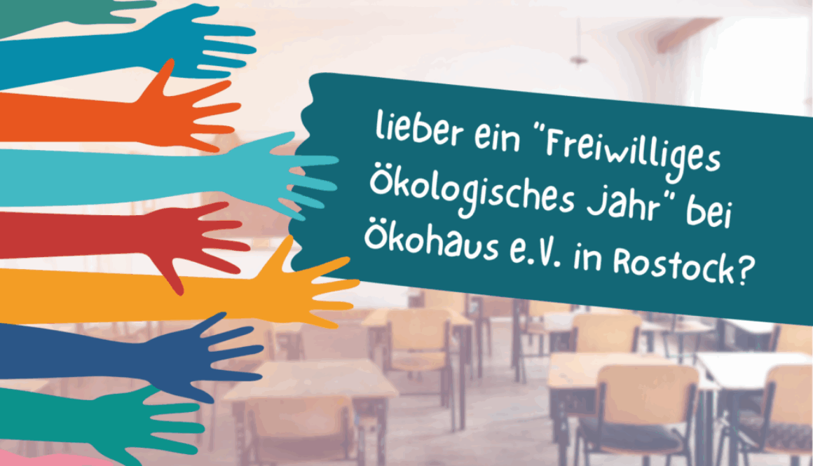 Werbung_FÖJ_2025