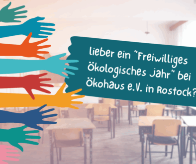Werbung_FÖJ_2025