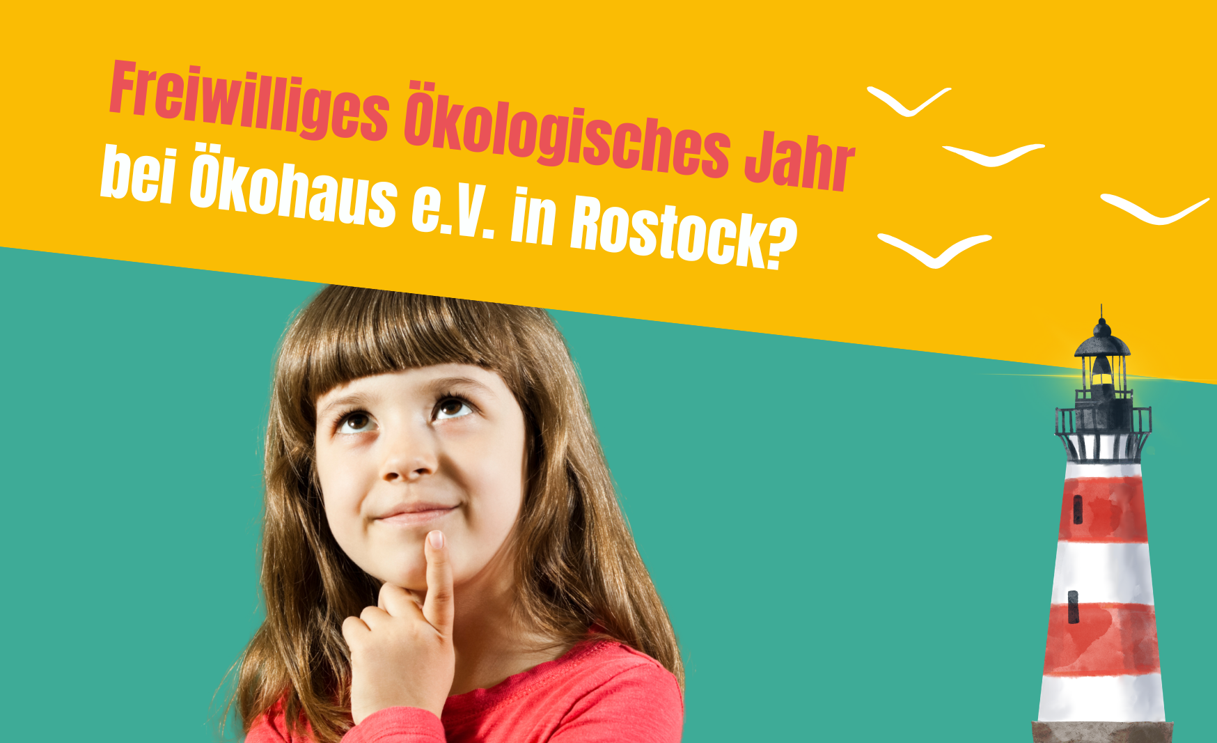 Wir suchen FÖJ-ler*in ab September 2026